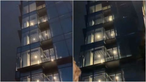 📹 VIDEO: El sismo atemorizó a gran parte de México