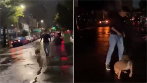 Ciudad de México vive una noche de terror
