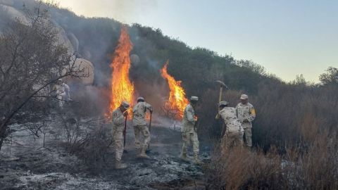 Calor aumenta incendio forestal en Tecate