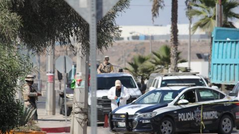 En Tijuana matan en promedio a 5 personas diariamente