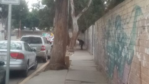 Abundan indigentes frente a Hospital General de Tijuana