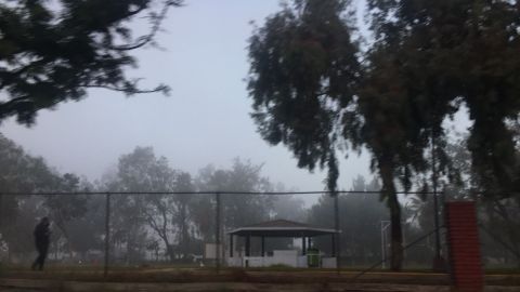 Neblina afecta operaciones del aeropuerto de Tijuana
