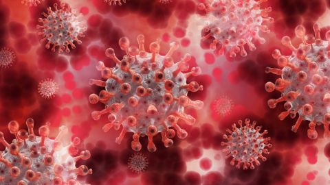 Detectan nueva variante de coronavirus en Francia