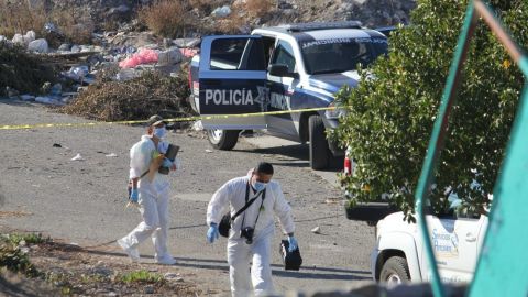 Localizan siete cuerpos sin vida en Tijuana este pasado martes