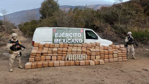 Ejército asegura más de 800 kilos de marihuana en Ensenada