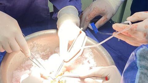 El ISSSTECALI se encuentra en un proceso de retomar las distintas actividades