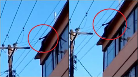 📹 VIDEO: Electrocutado quedó arriba de motel en Tijuana; está a punto de caerse