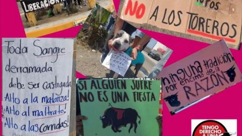 'No a las corridas de toros'; Convocan a manifestación en la monumental