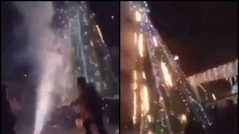 VIDEO: ¡Bien prendido! Lanzaron pirotecnia para celebrar encendido del árbol