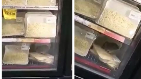 Graban a rata comiendo queso en mercado El Florido