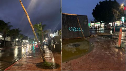 Se cae estructura de edificio en construcción de Avenida Revolución