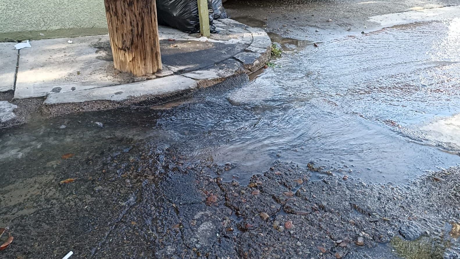 Mientras Colonias Se Quedan Sin Agua Cespt No Atiende Una Fuga De Agua