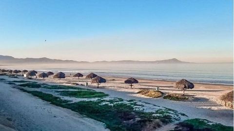 Playa de Baja California tiene altos niveles de heces fecales: Cofepris