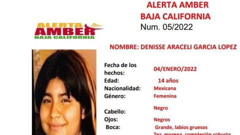 Araceli García López de 14 años está desaparecida