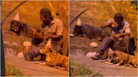 📹 VIDEO: Hombre sin hogar festeja cumpleaños de sus perros; les compra pastel