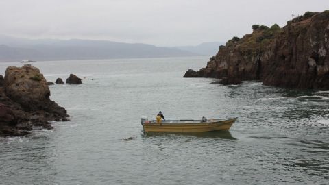 Reconocen pesca 'pirata' en litorales bajacalifornianos