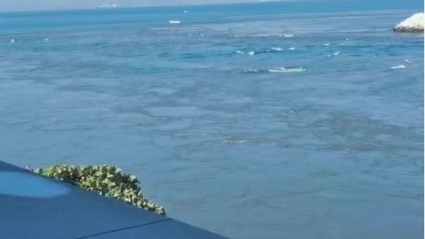 En Colima, piden no entrar al mar tras erupción volcánica en Tonga