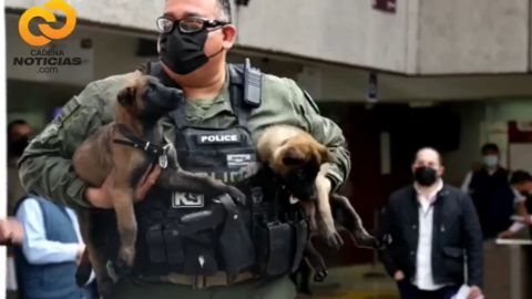 Dicen ‘adiós’ a 5 agentes K9 y 2 cachorros más se incorporan en Tijuana