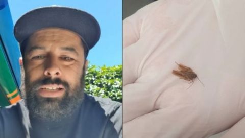 Fue al médico por una molestia en el oído… ¡y le sacaron una cucaracha!