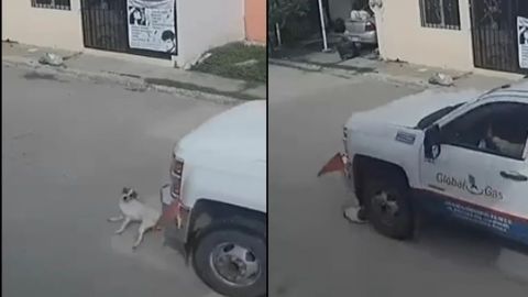 Chofer de pipa aplasta a perrito en calle de Villahermosa; exigen castigo