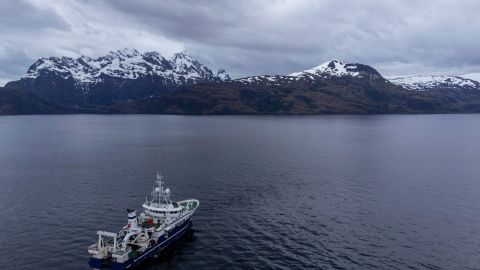 Ómicron llega al ''fin del mundo''; se registra contagio en Magallanes, Chile