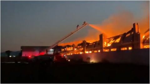 📹 VIDEO: Incendio consume bodega de cartón
