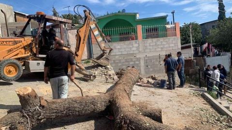 Árbol ocasiona fuga y dejan sin agua varias calles de la Sánchez Taboada