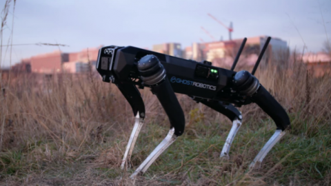 Activistas piden a EU no usar perros-robots contra migrantes en la frontera