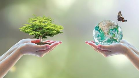 La naturaleza: lo maravilloso de la tierra que está en peligro