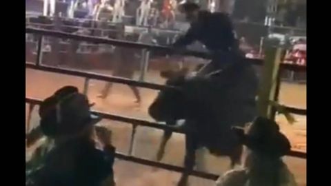VIDEO: Jaripeo se sale de control y toro embiste a asistentes; hay 15 heridos