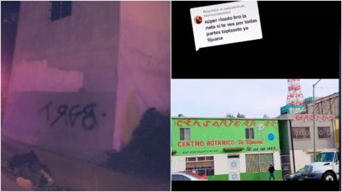 Grafitero que murió tras sufrir una caída presumía su 'arte' en TikTok