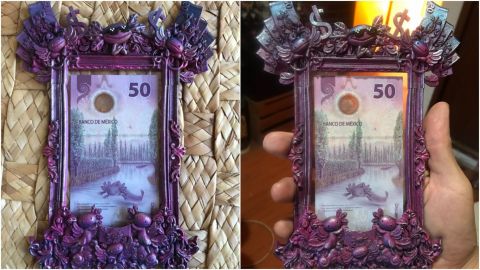 ¡Obra de arte! Enmarcan el nuevo billete de 50 pesos del ajolote