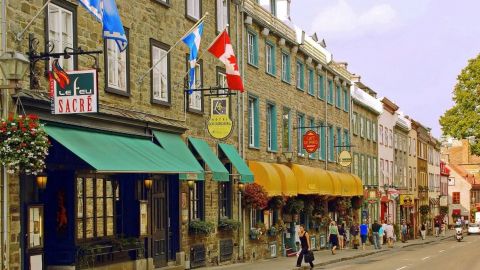 Trabaja en Canadá y gana 36 mil pesos sin hablar inglés