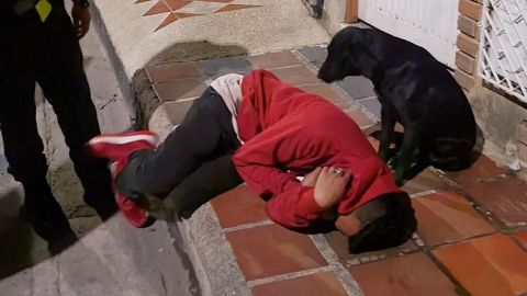 Perrito cuida a su dueño borracho que se quedó dormido en la calle