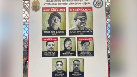 DEA va por el Cártel de Sinaloa, anuncian recompensas millonarias