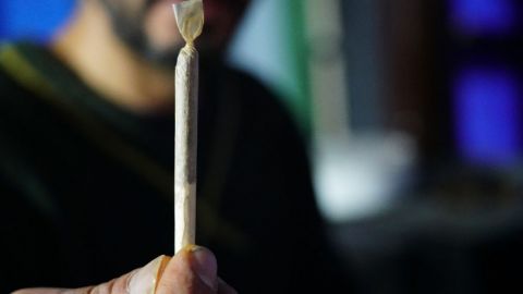 Ministro de la Corte propone dejar vigente delito de posesión de marihuana