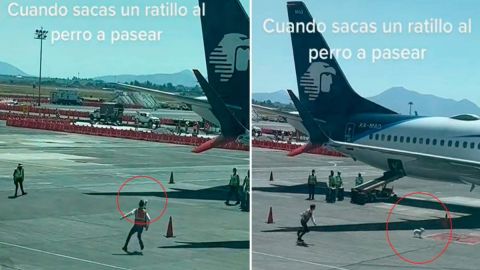 VIDEO: Perrito arma persecución en pista de aterrizaje; se vuelve viral