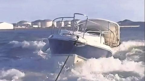 Ballena salta fuera del mar y cae en embarcación