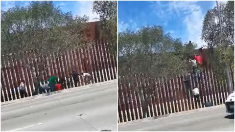 VIDEO: ¡Por el sueño americano!; captan a migrantes subiendo el muro fronterizo