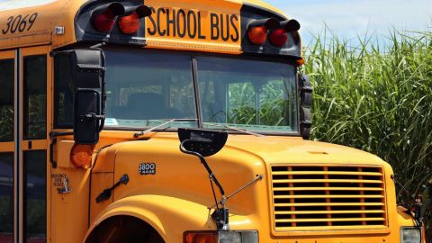 Detienen a chófer de autobús escolar por agresión sexual a una niña