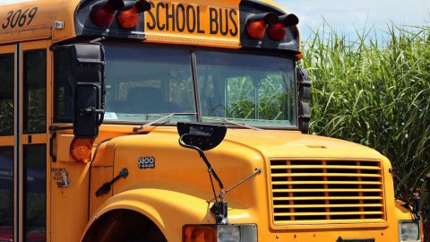 Detienen a chófer de autobús escolar por agresión sexual a una niña