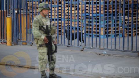 Perros resguardaban 'narcobodega' en Tijuana