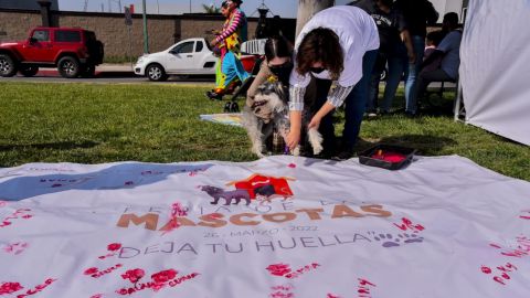 Tijuana está lista para la segunda edición de la feria de las mascotas