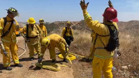Realizan alianza bomberos de San Diego y de Baja California