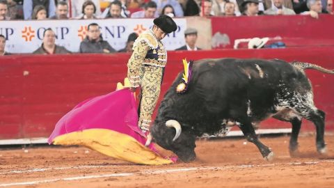 Suspenden indefinidamente corridas de toros en la Plaza México