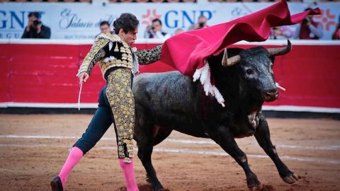 SCJN señala que corridas de toros y peleas de gallos no son patrimonio cultural