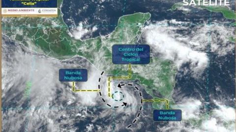 Se forma tormenta tropical ''Celia'' en el Pacífico