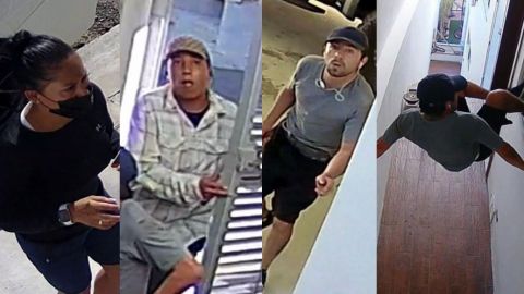 Graban a ladrones robando una casa en Tijuana; pide ayuda para identificarlos