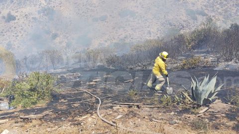 Repuntan incendios forestales en la zona este de Tijuana