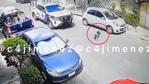 VIDEO: Perrito es atropellado por policía municipal; analizan sanciones